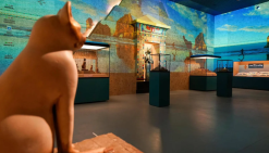 الحكومة توافق على تمديد معرض 